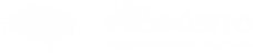 Logo VIVA Propósito HORIZ BRANCO FDO TRANSP